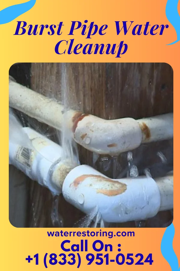 Burst Pipe Water Cleanup in Northmoor, MO