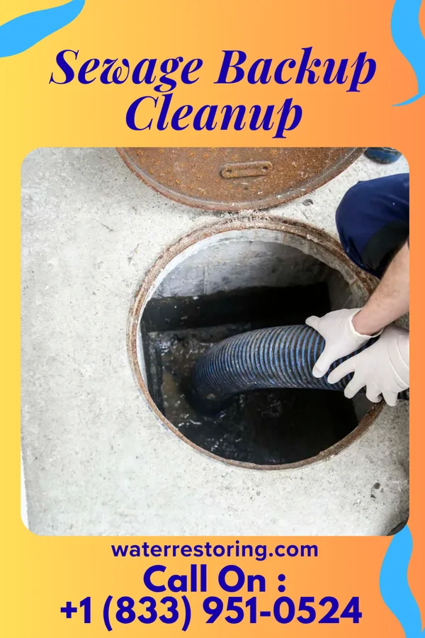 Sewage Backup Cleanup in Northmoor, MO