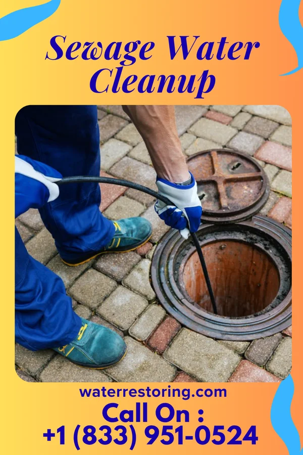 Sewage Water Cleanup in Northmoor, MO