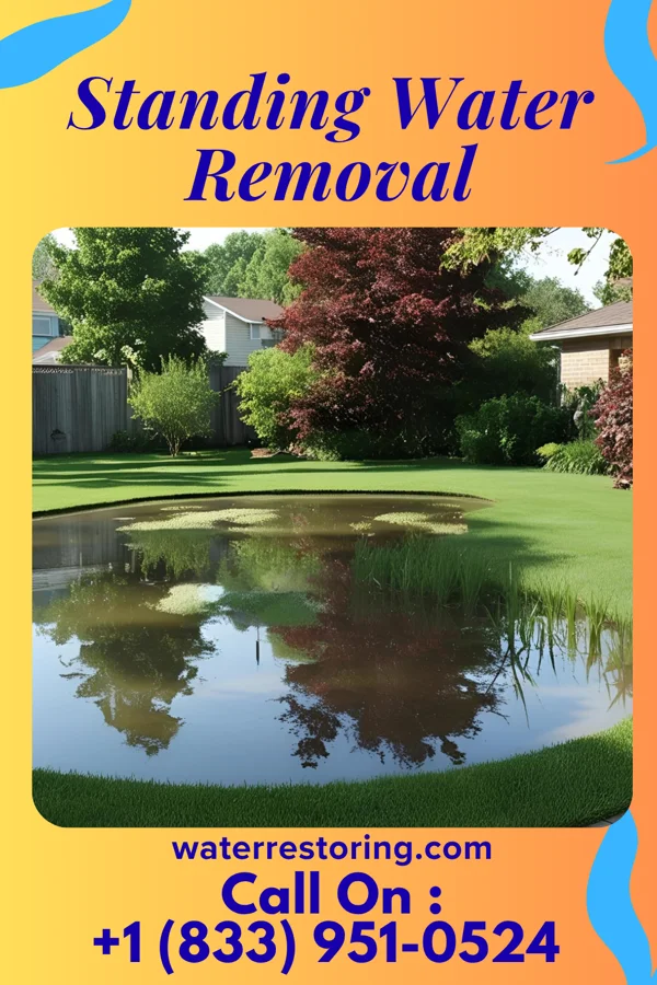 Standing Water Removal in Northmoor, MO